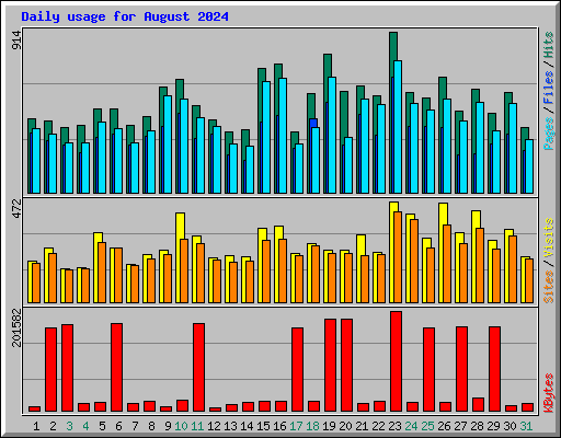 Daily usage for August 2024