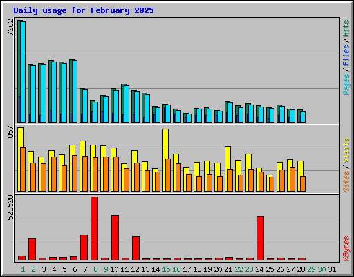 Daily usage for February 2025