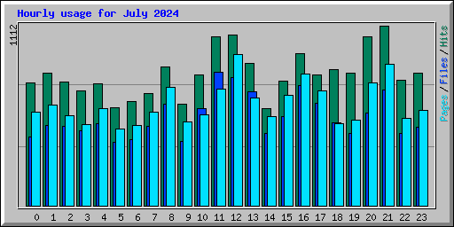 Hourly usage for July 2024