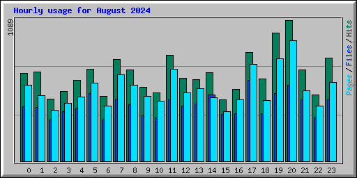 Hourly usage for August 2024