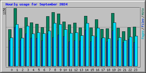 Hourly usage for September 2024