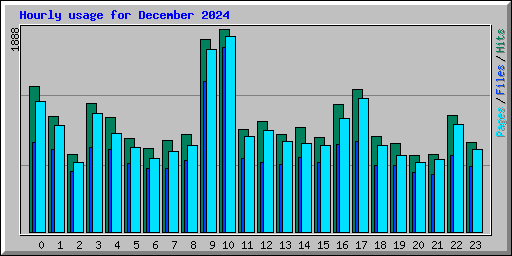 Hourly usage for December 2024