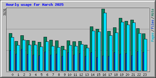 Hourly usage for March 2025