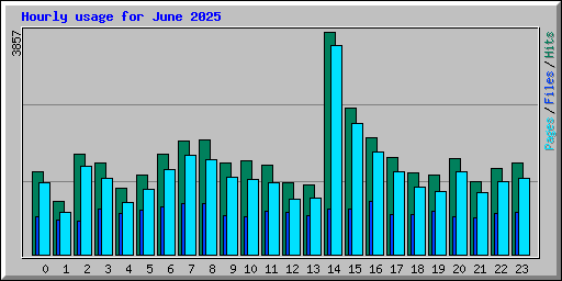 Hourly usage for June 2025
