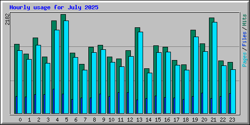 Hourly usage for July 2025