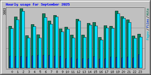 Hourly usage for September 2025