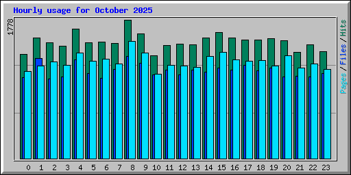 Hourly usage for October 2025