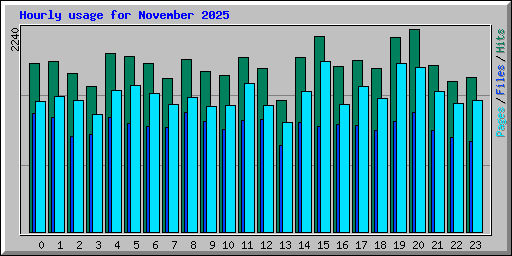 Hourly usage for November 2025