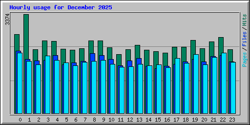 Hourly usage for December 2025