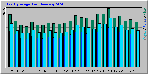 Hourly usage for January 2026