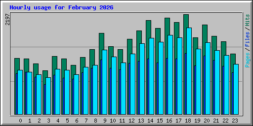 Hourly usage for February 2026