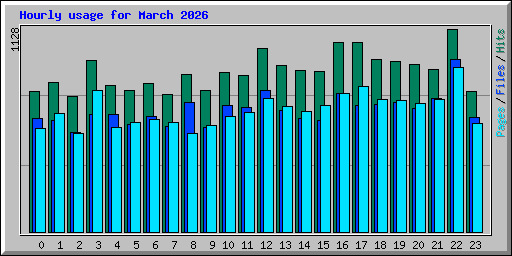 Hourly usage for March 2026