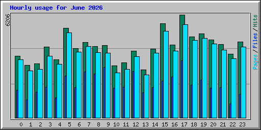 Hourly usage for June 2026