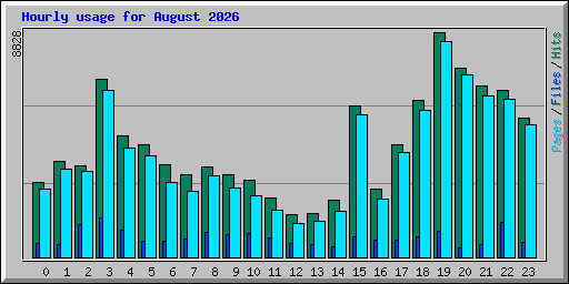 Hourly usage for August 2026
